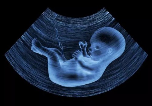2023美国试管生二胎成功率是多少？附各年龄阶段成功率