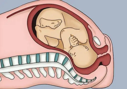 徐州助孕公司：用泡腾片来月经不调吗,泡腾片女人用了怎么样